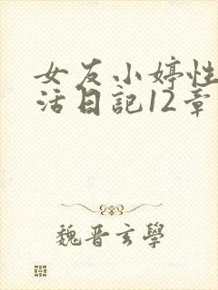 女友小婷性荡生活日记12章