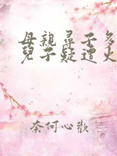 母亲寻子多年 儿子疑遭火车撞击身亡