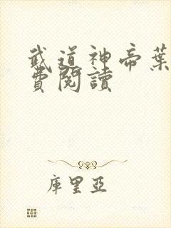 武道神帝叶辰免费阅读