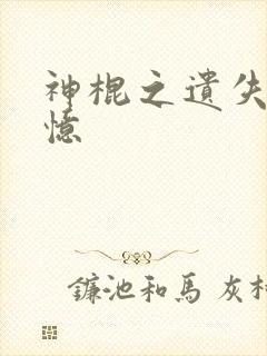 神棍之遗失的记忆