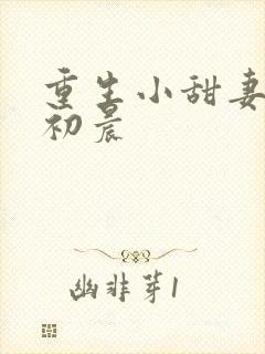 重生小甜妻 慕初晨