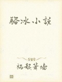 骆冰小说