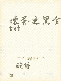 坏蛋之黑金帝国txt