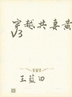 穿越共妻黄暴1V3
