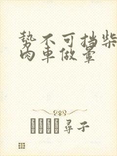 势不可挡柴鸡蛋肉车做晕