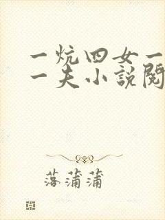 一炕四女一共侍一夫小说阅读