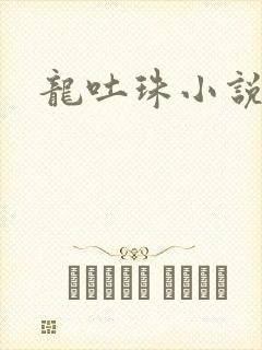 龙吐珠小说