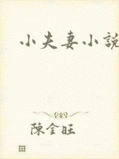 小夫妻小说
