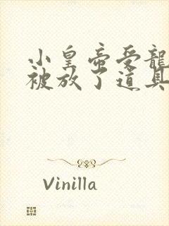 小皇帝受龙椅上被放了道具