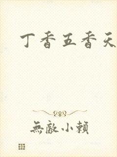 丁香五香天麻豆