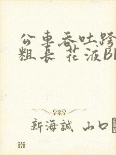 公车吞吐跨坐 粗长 花液BL