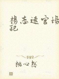 杨志远官场飙升记