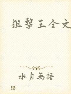 狙击王全文阅读