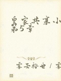 皇家共享小公主第5章