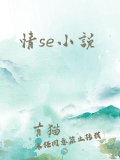 情se小说