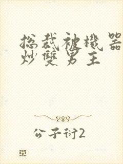 总裁被机器人爆炒双男主