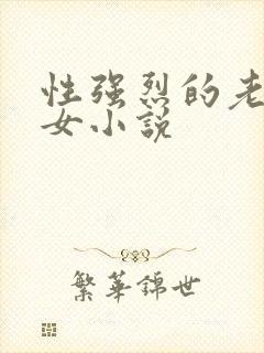 性强烈的老年妇女小说