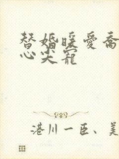 替婚暖爱乔少的心尖宠