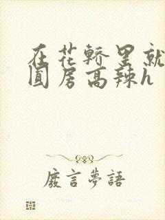 在花轿里就开始圆房高辣h