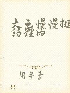 大龟慢慢挺进我的体内