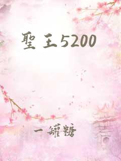 圣王5200