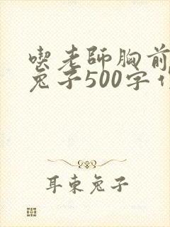 吃老师胸前的小兔子500字作文