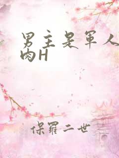 男主是军人的肉肉H