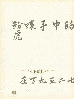 粉蝶手中的纸老虎