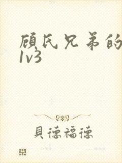 顾氏兄弟的南宁1v3