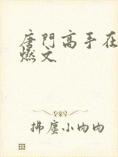 唐门高手在异世燃文