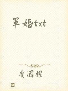 军婚txt