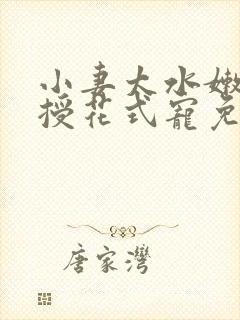 小妻太水嫩陆教授花式宠免费阅读 小说