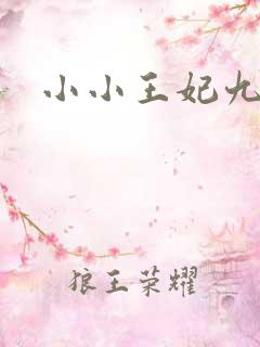 小小王妃九岁半