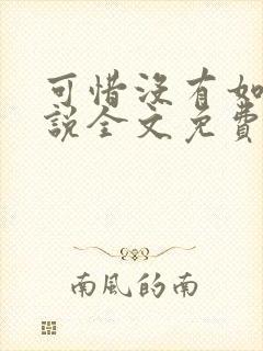 可惜没有如果小说全文免费阅读