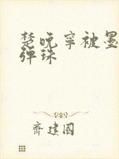 楚晚宁被墨燃塞弹珠