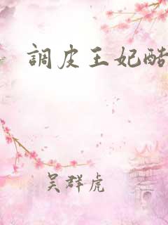 调皮王妃酷王爷