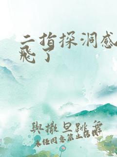 二指探洞感觉要飞了