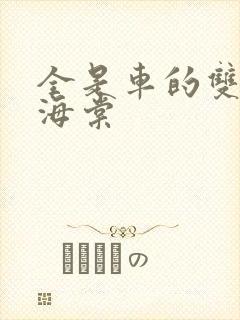 全是车的双男主海棠