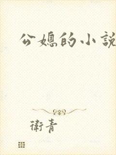 公媳的小说