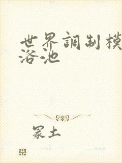 世界调制模式女浴池