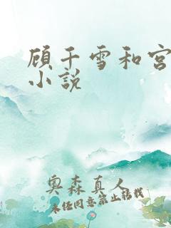 顾千雪和宫凌沨小说