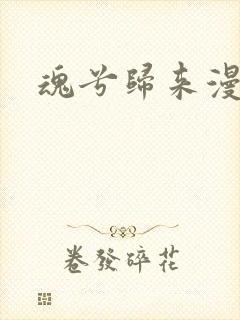 魂兮归来漫蒹葭