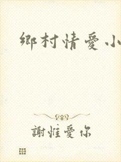 乡村情爱小说