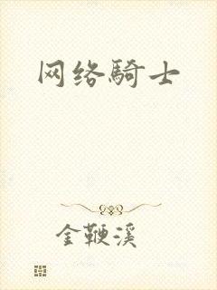 网络骑士
