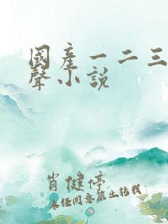 国产一二三区有声小说