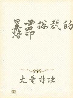 暴君总裁的狂烈烙印