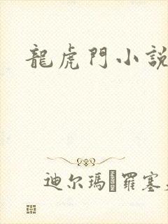 龙虎门小说