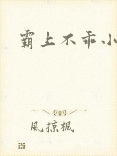 霸上不乖小逃妻