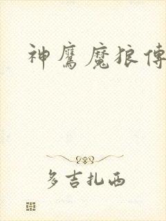 神鹰魔狼传