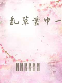 乱草丛中一杆枪